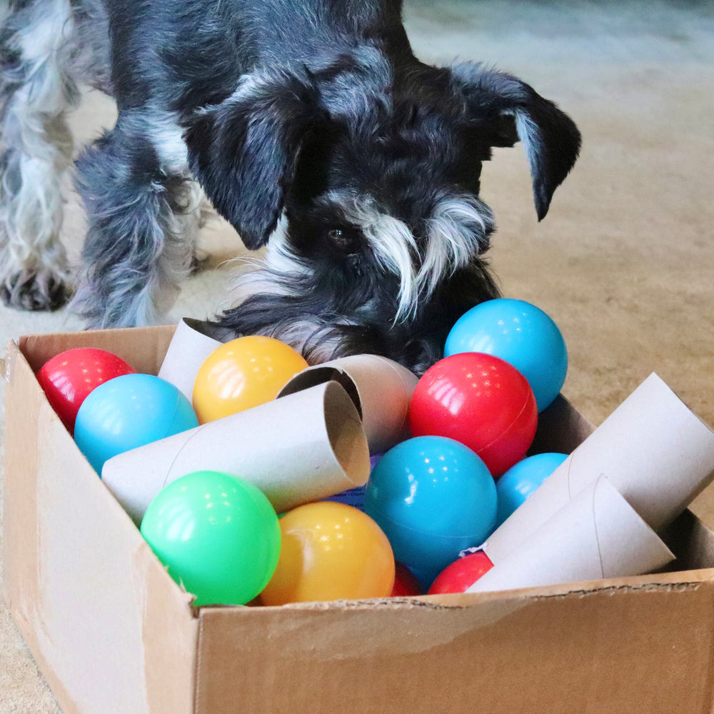 Enrichment for Dogs who Love to Shred & De-Stuff Toys: Toys, DIYS, and More