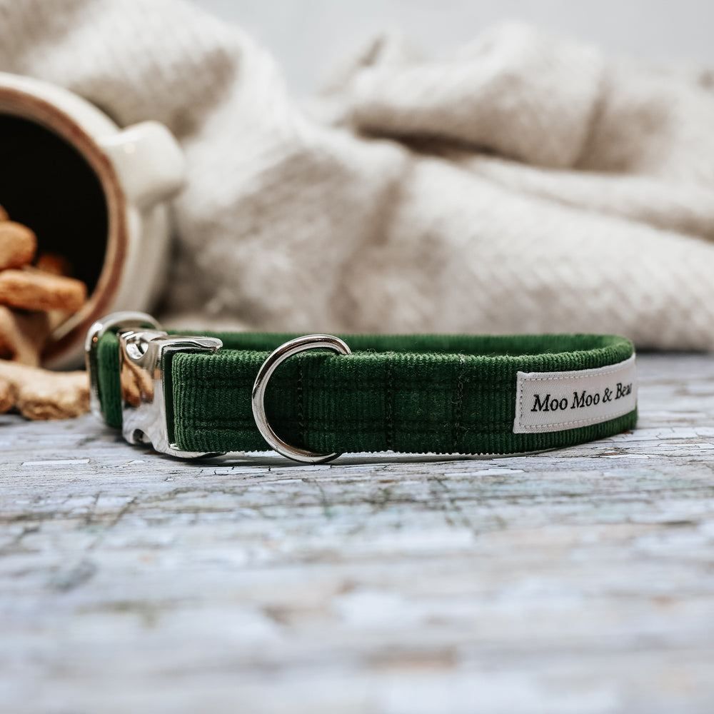 'GREEN CORDUROY' DOG COLLAR AND OPTIONAL LEAD