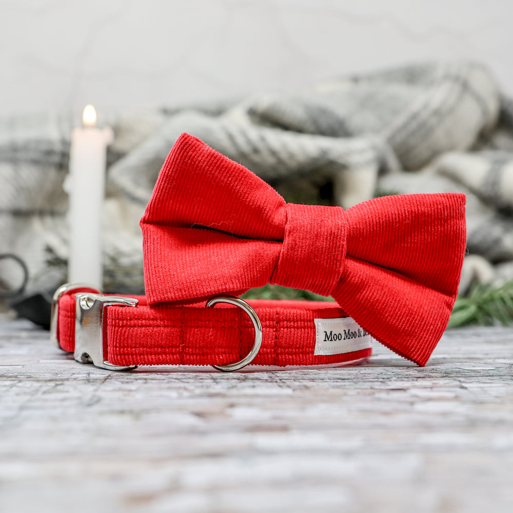 'CORDUROY' DOG BOW TIE IN RED