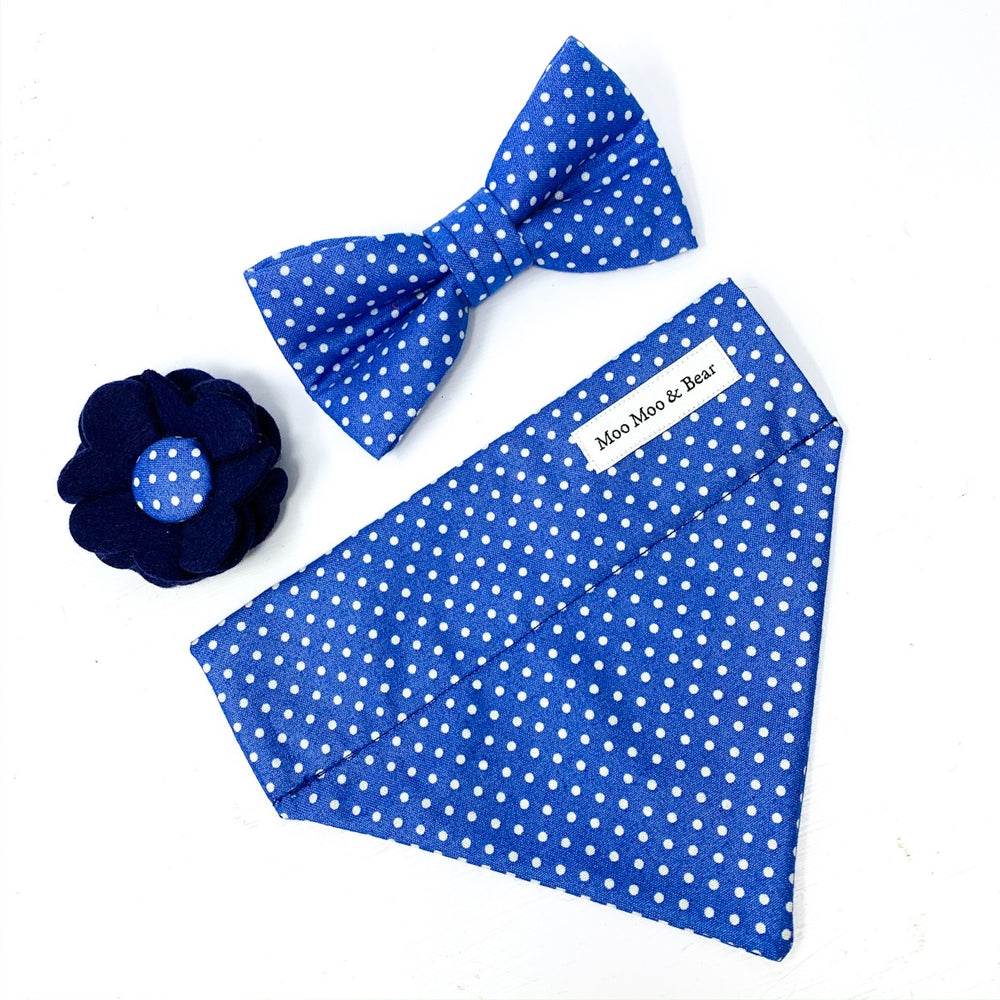 'POLKA DOT' DOG BOW TIE IN ROYAL BLUE