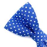 'POLKA DOT' DOG BOW TIE IN ROYAL BLUE