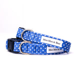 'POLKA DOT' DOG BOW TIE IN ROYAL BLUE