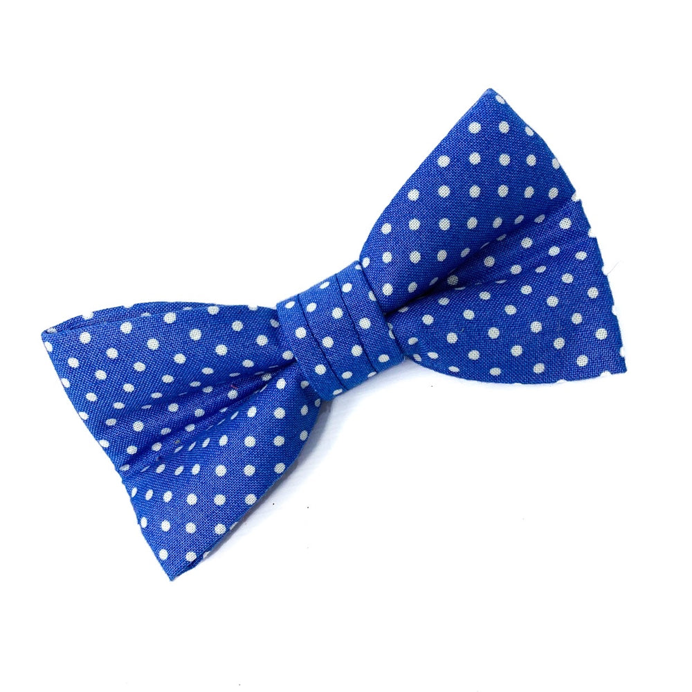 'POLKA DOT' DOG BOW TIE IN ROYAL BLUE