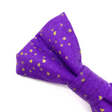 LAST CHANCE ‘SHIMMER' OPULENT AMETHYST PURPLE DOG BOW TIE